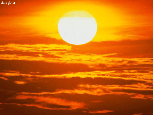 sole_-_44