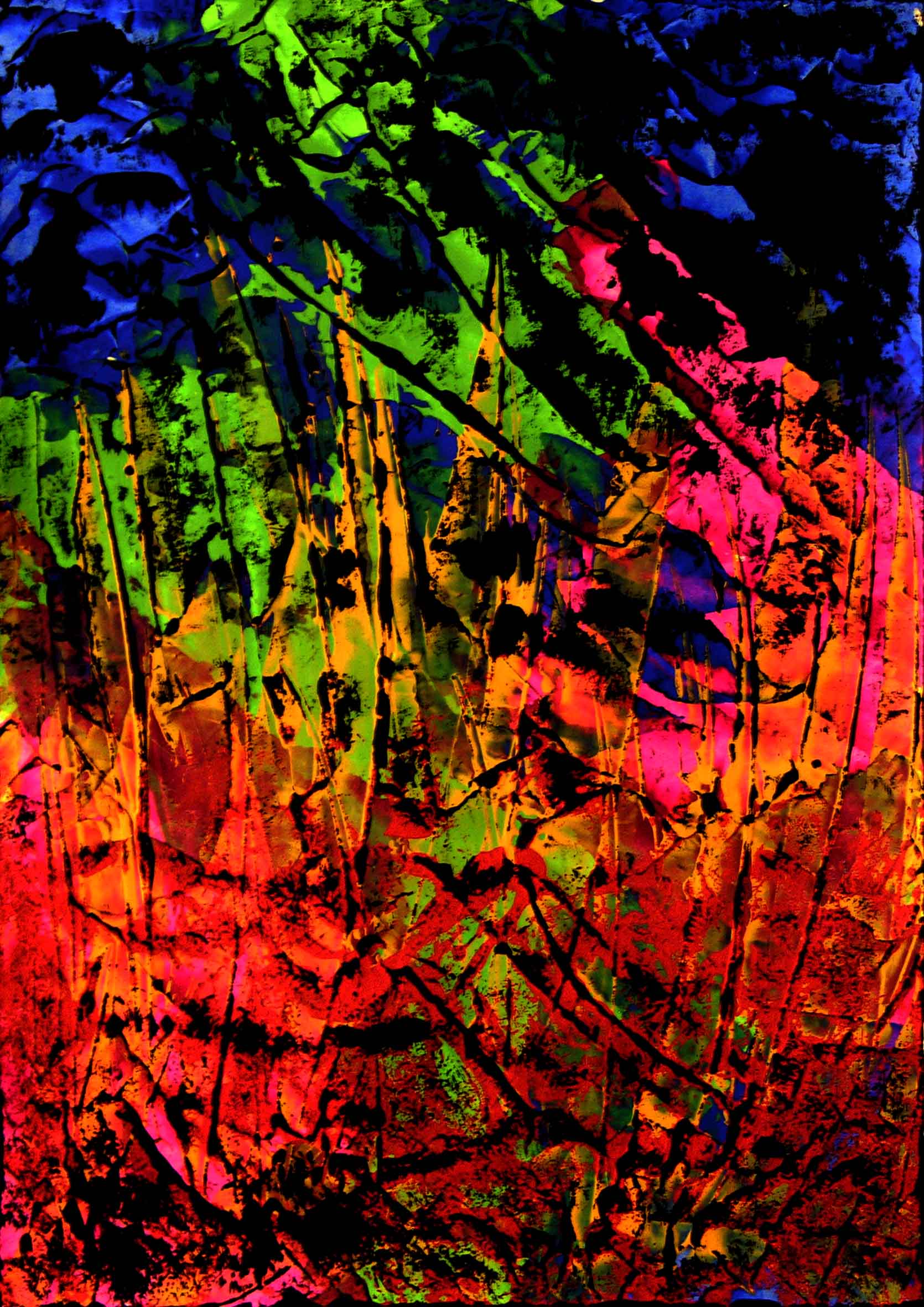ww_059_RE_ROMUALDO_II_2015(genn)acrilico-cartonc42x29,7